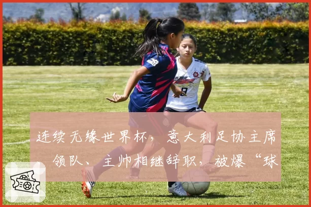 连续无缘世界杯，意大利足协主席、领队、主帅相继辞职，被爆“球员花钱才能上场”