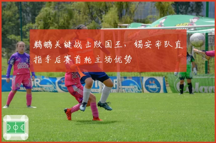 鹈鹕关键战击败国王,锡安率队直指季后赛首轮主场优势